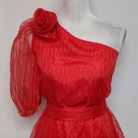 VINTAGE 1970s Shangri-La Red Pinstripe One-Shoulder Belted Midi Dress ILGWU - Picture 5 of 16
